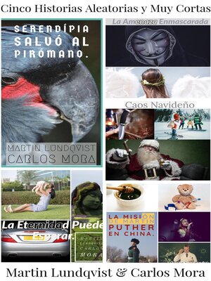 cover image of Cinco Historias Aleatorias y Muy Cortas
